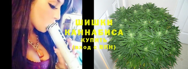 каннабис Белокуриха
